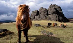 Dartmoor National Park