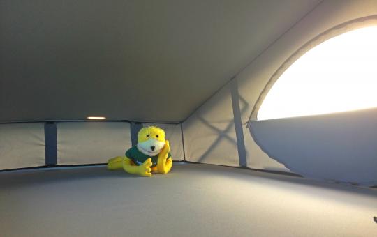 Top bed in a VW California T6
